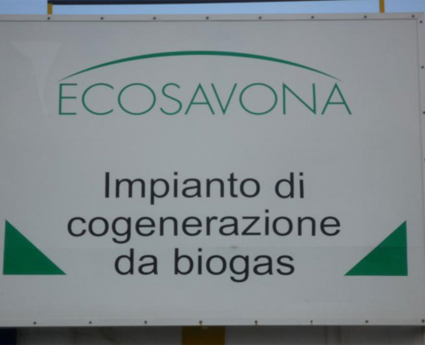 Ecosavona